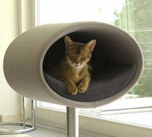 Cat Interiors 