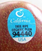 Fruit Codes 