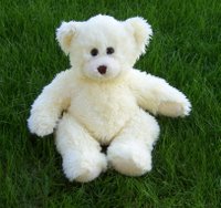 Tofu Bear