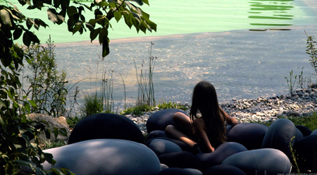 living stones