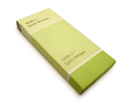DIY card holder paint chip