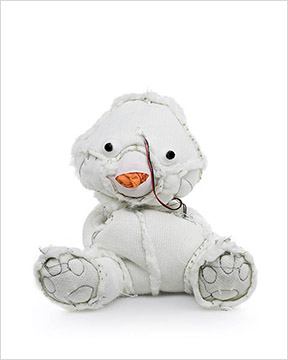 Kent Rogowski inside out bears book