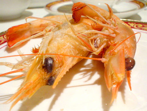 hongkongfood_downstairs_03